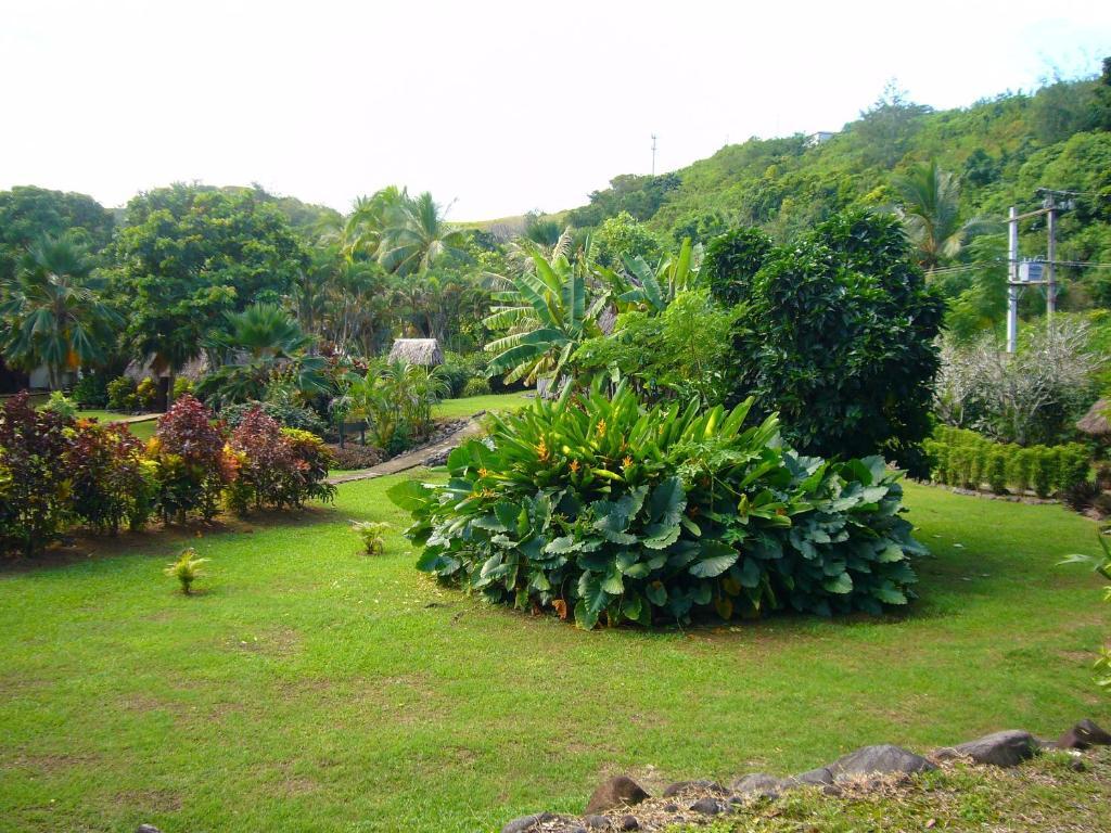 Gecko'S Resort Sigatoka Exterior photo