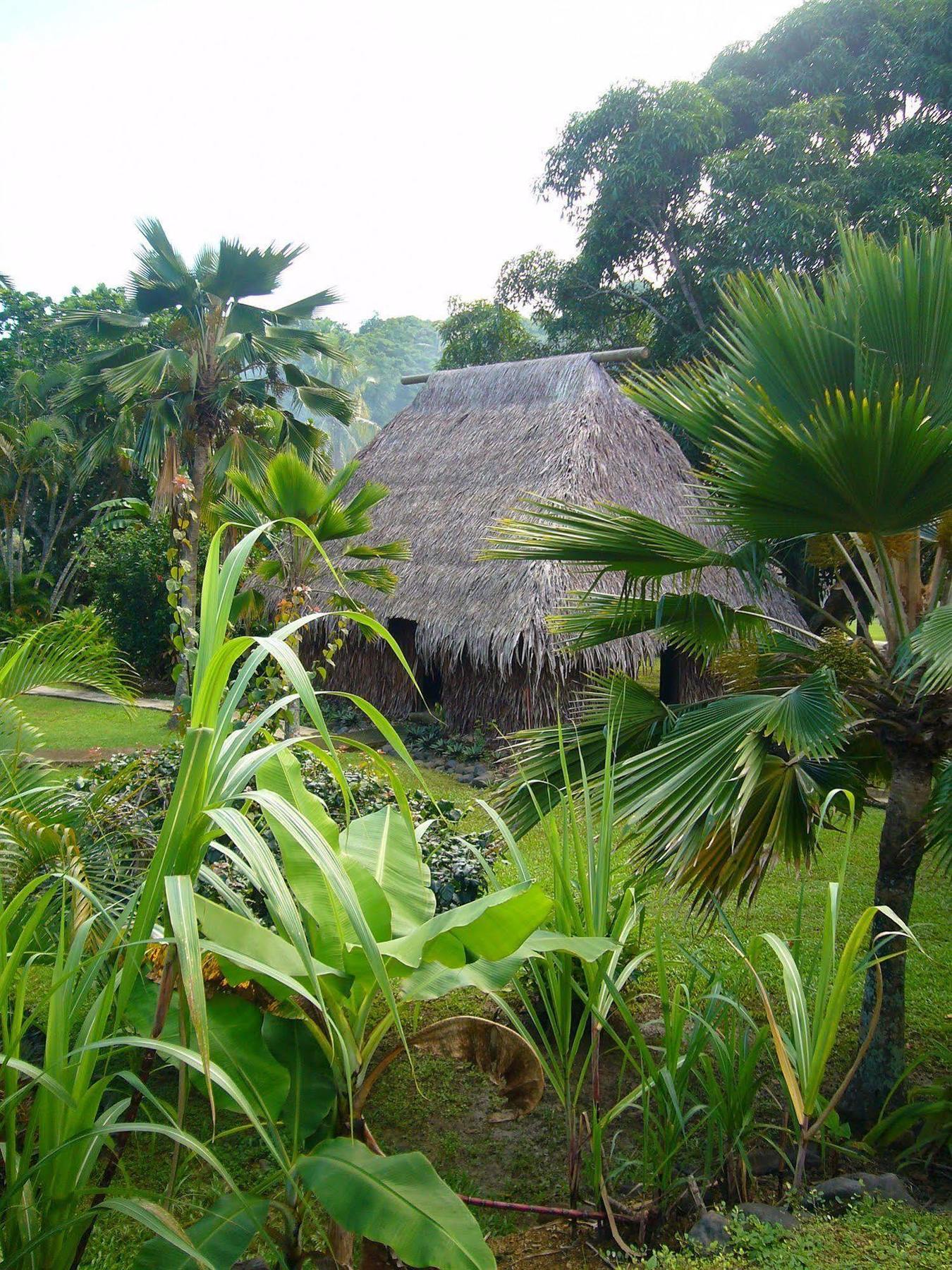 Gecko'S Resort Sigatoka Exterior photo